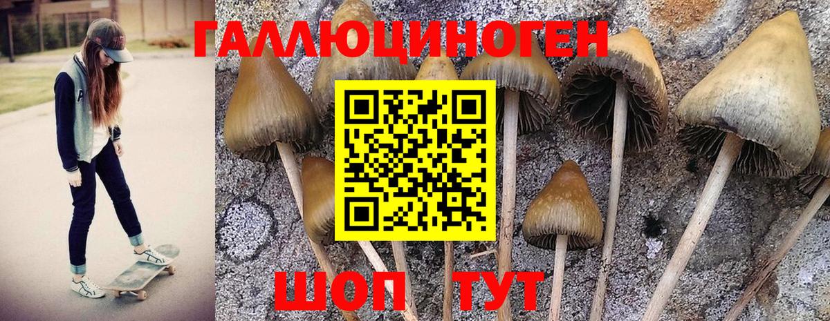 Псилоцибиновые грибы MAGIC MUSHROOMS  Галлюциногенные грибы прущие грибы  Раменское 