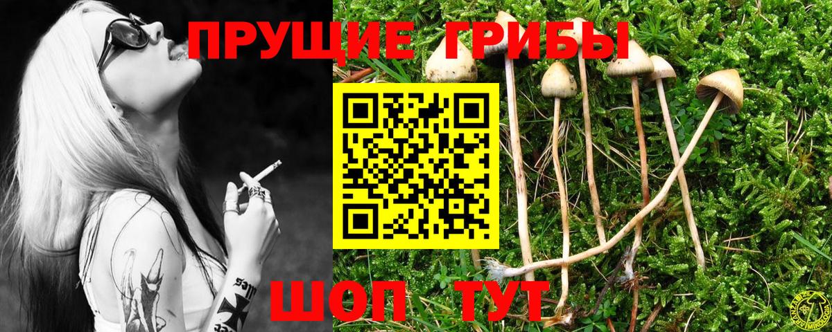 цены наркотик  Галлюциногенные грибы мухоморы  Вход с VPN  Раменское 