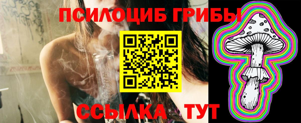 Псилоцибиновые грибы GOLDEN TEACHER Раменское