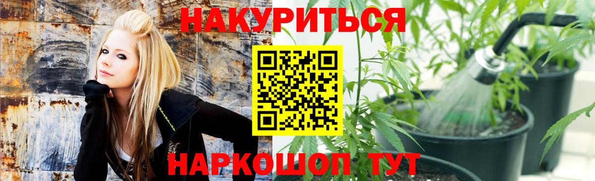 Раменское  Марихуана AK-47  МАРИХУАНА конопля  Бошки Шишки ГИДРОПОН  Вход с VPN  Шишки марихуана OG Kush 